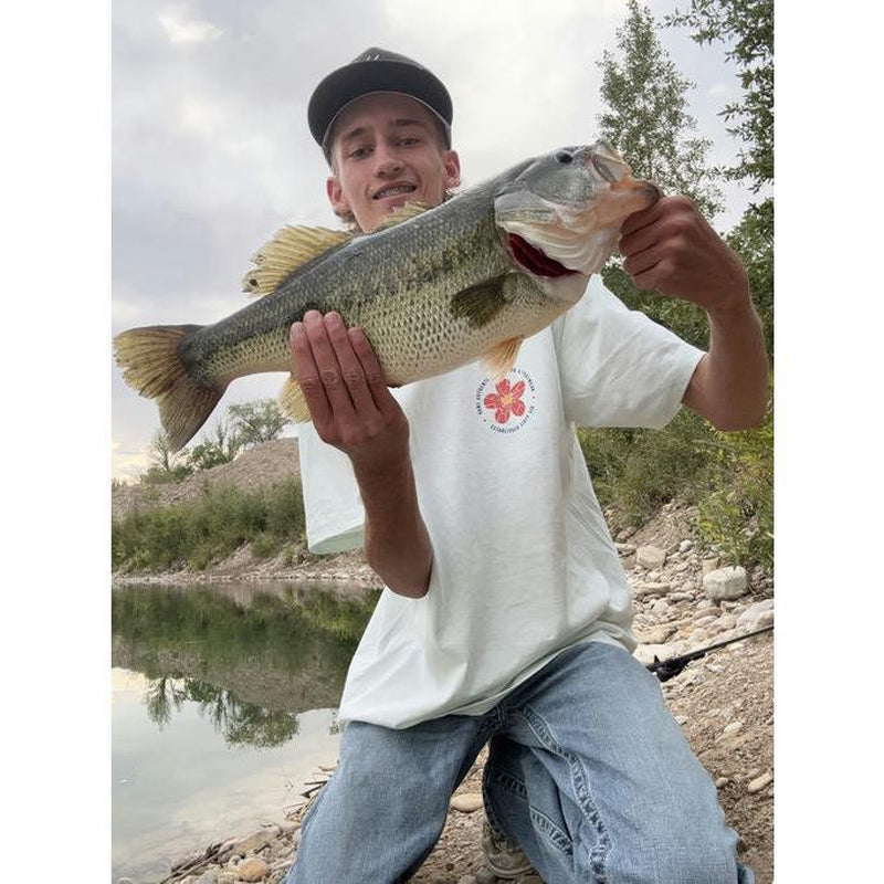 MONSTERBASS - Mystery Box