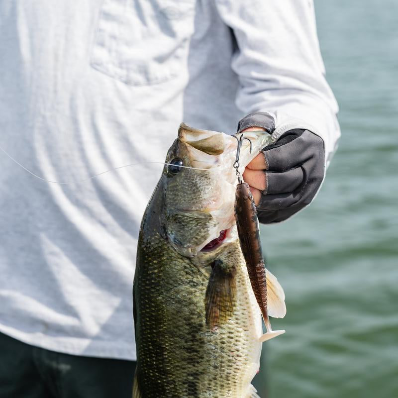 Swimbait Sensation Bass Fishing Kit