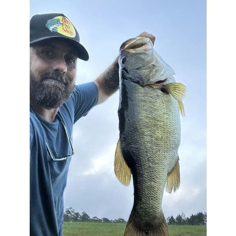 MONSTERBASS - Mystery Box